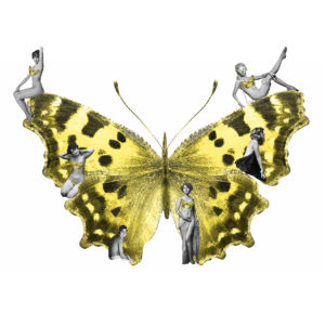 Madame Butterfly - Yellow