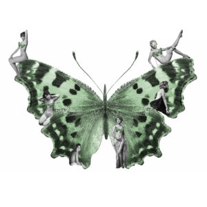 Madame Butterfly - Green