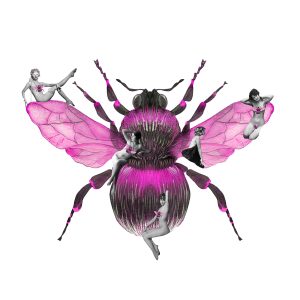 Queen Bee - Hot Pink
