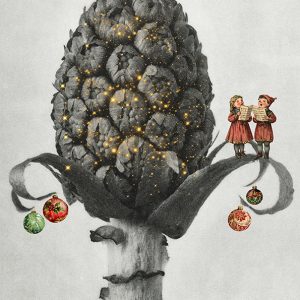 All is Calm, All is Bright