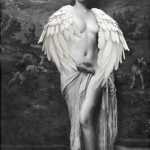 Spread your Wings II